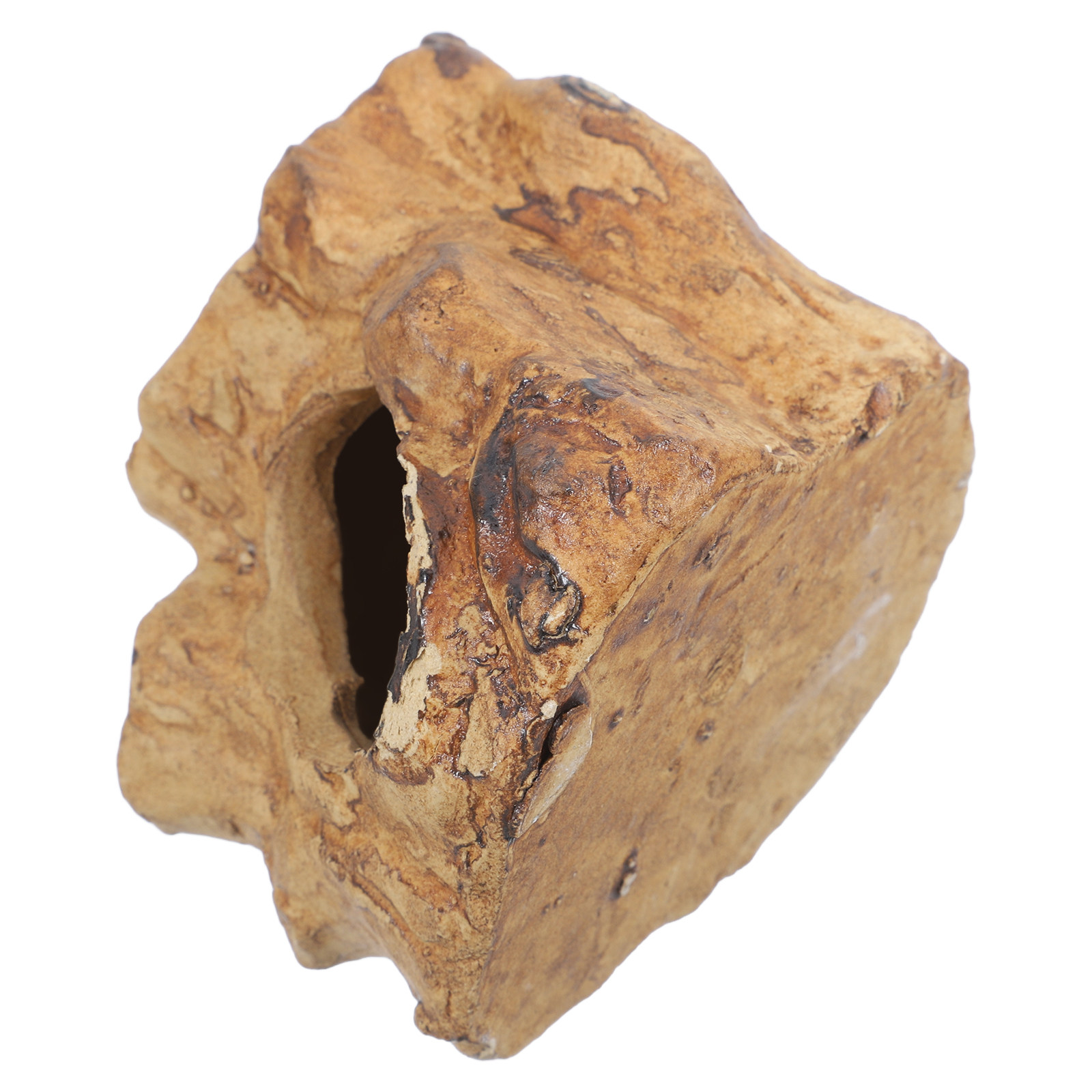 Hide Cave Ceramic - Decorazioni Premium in Ceramica per Acquari,