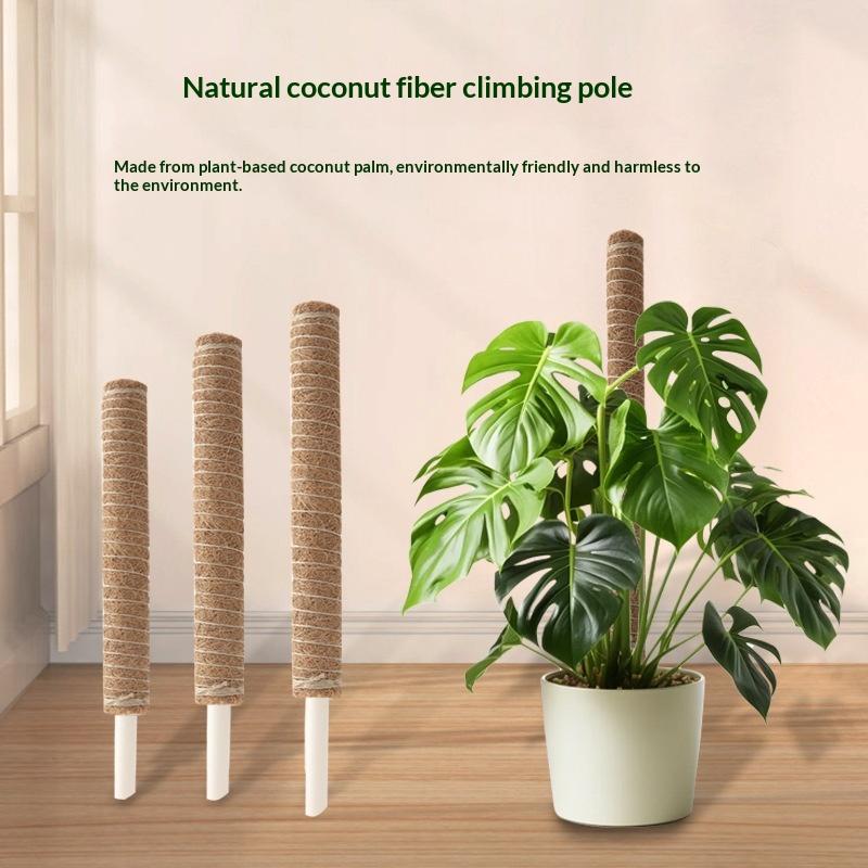 Vine Climbing Plastic - 1 Pezzo Asta di Supporto per