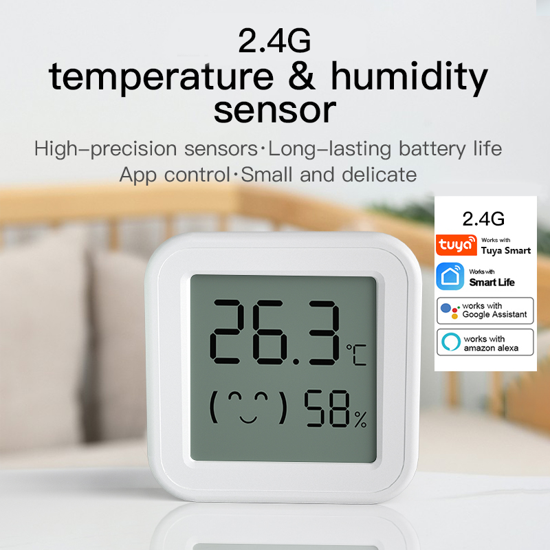 Digital Hygrometer Probe - Sensore di umidità della temperatura Bluetooth