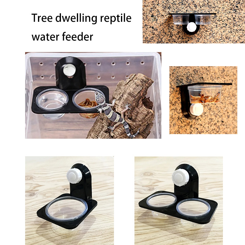 Water Dish Reptile - Accessori per serbatoi per rettili Insetto
