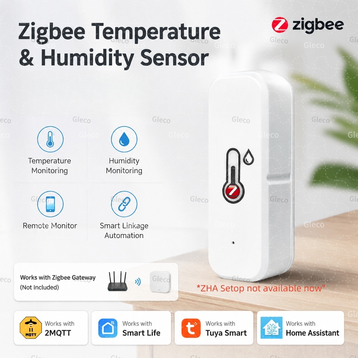Digital Hygrometer Probe - Sensore di temperatura e umidità Tuya
