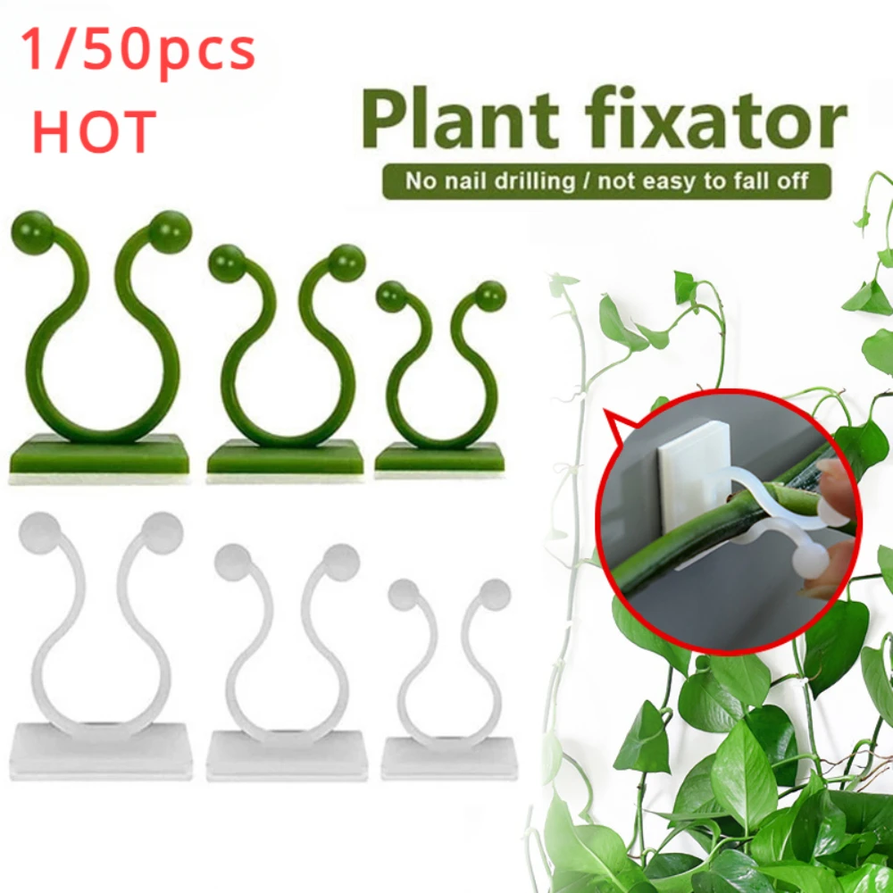 Vine Climbing Plastic - 1/30/50 pezzi per accessori da giardino