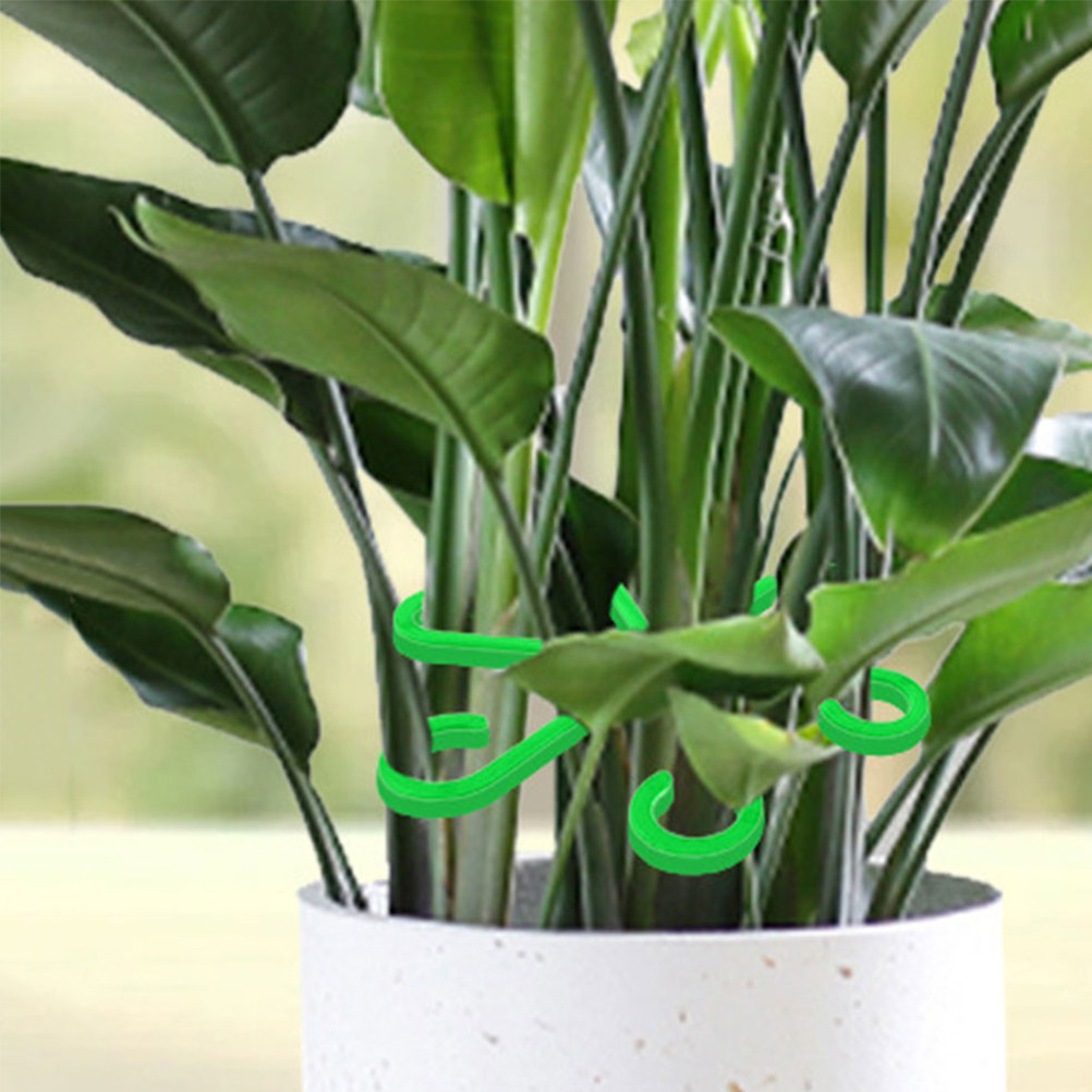 Vine Climbing Plastic - 12 Pezzi Supporti per Steli di