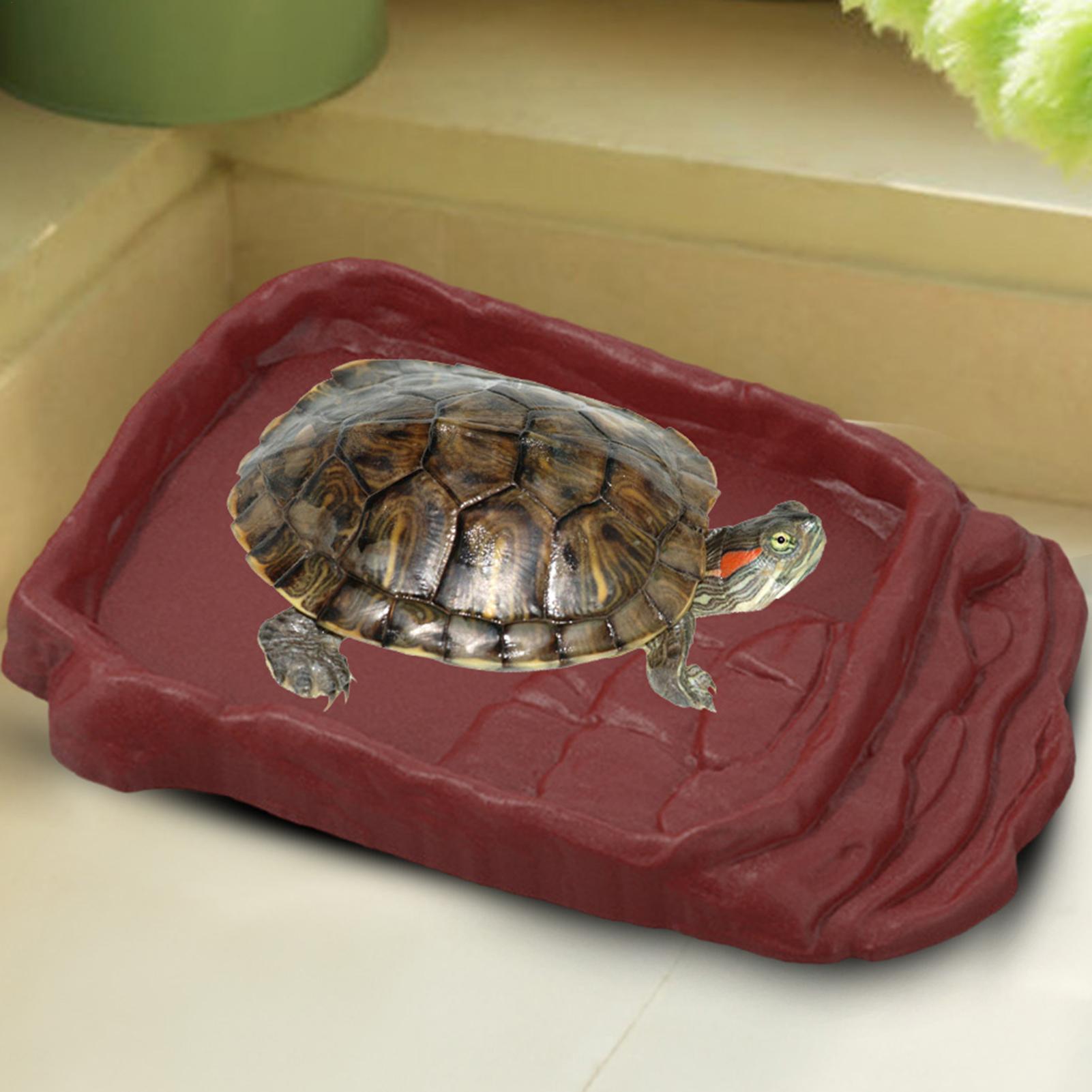 Water Dish Reptile - Vasca per Tartarughe, Ciotola d'Acqua, Scale