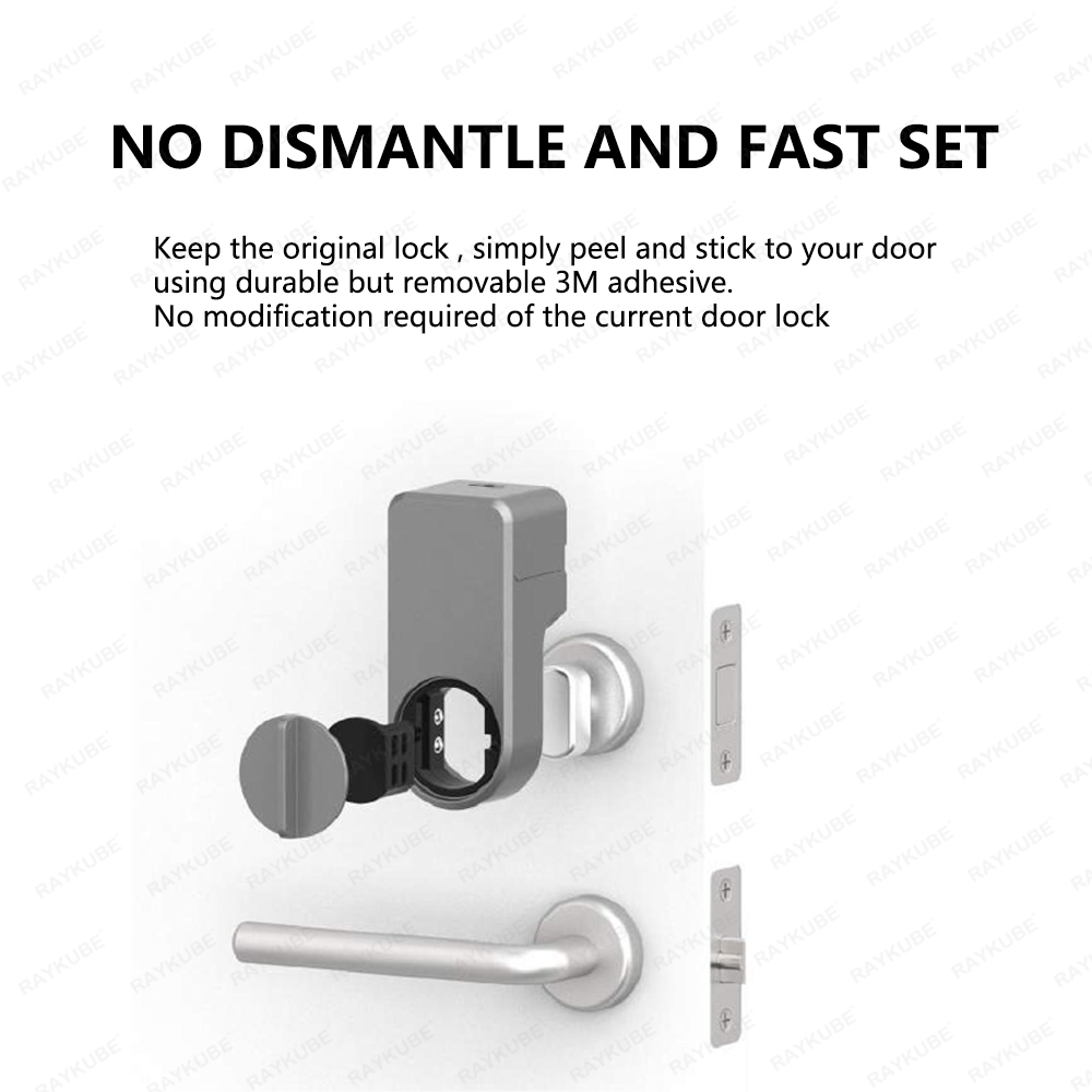 RAYKUBE A1 Pro Tuya BEL Set se - Glass Door Hinge recensione e prezzo