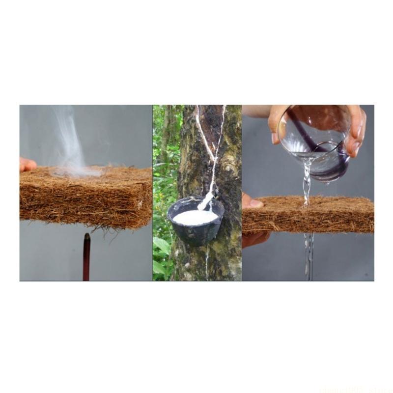 QX2E Tappetino per rettili per - Substrate Coconut Fiber recensione e prezzo