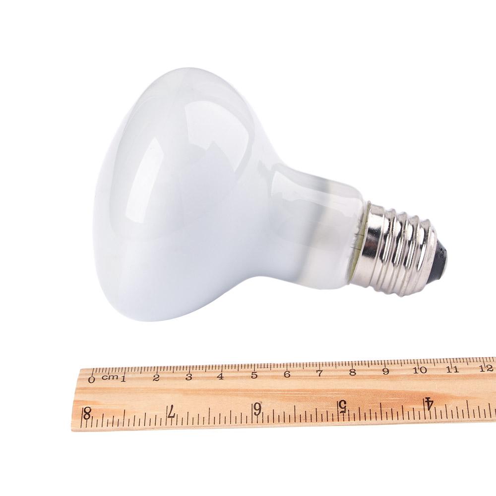 Regolatore di Temperatura per  - Basking Bulb Halogen recensione e prezzo