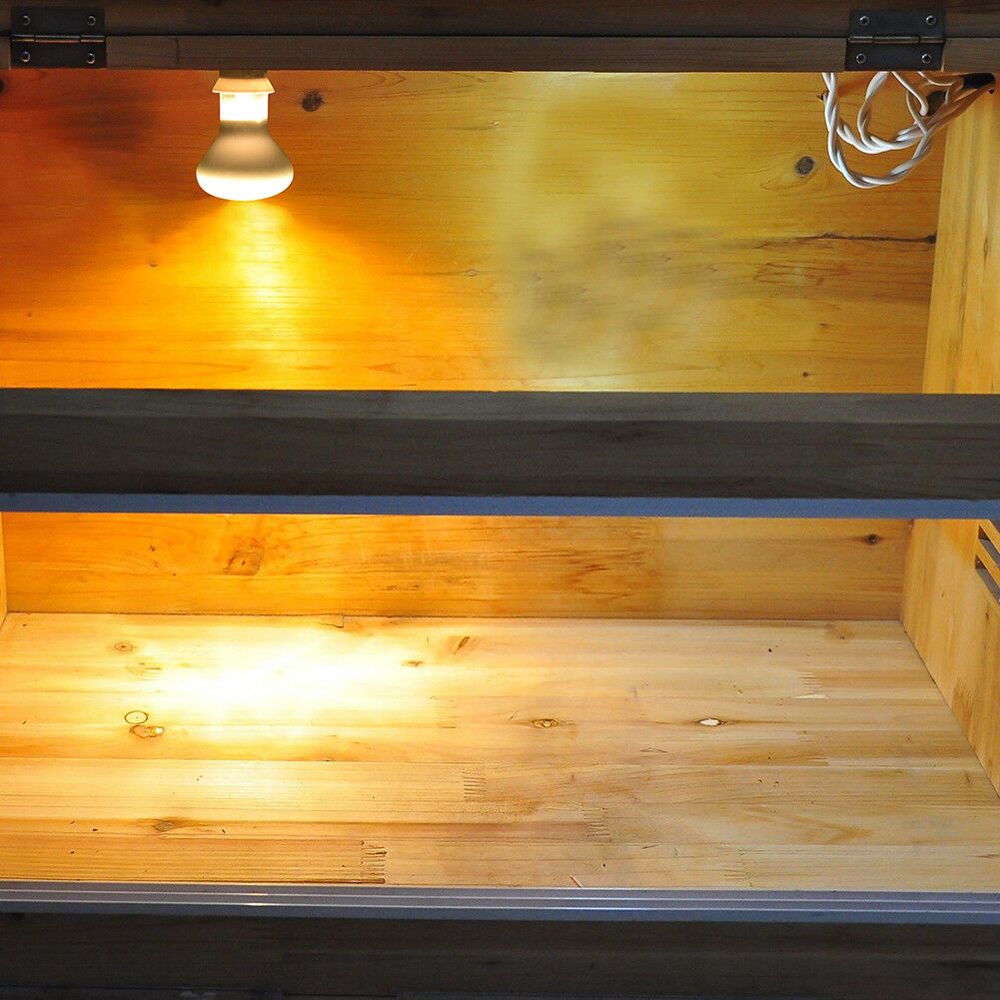 Lampada Riscaldante per Rettil - Basking Bulb Halogen recensione e prezzo