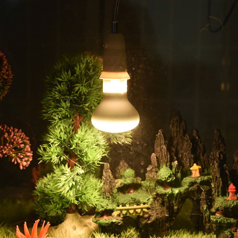 Lampada Riscaldante per Anfibi - Basking Bulb Halogen recensione e prezzo