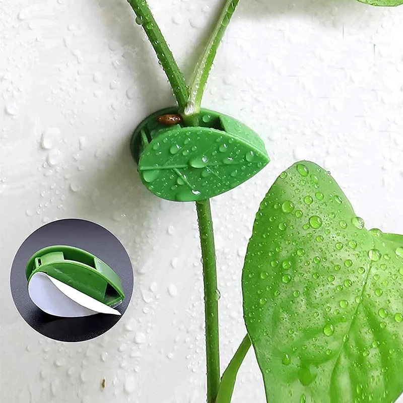 Clip di Fissaggio per Piante 1 - Vine Climbing Plastic recensione e prezzo