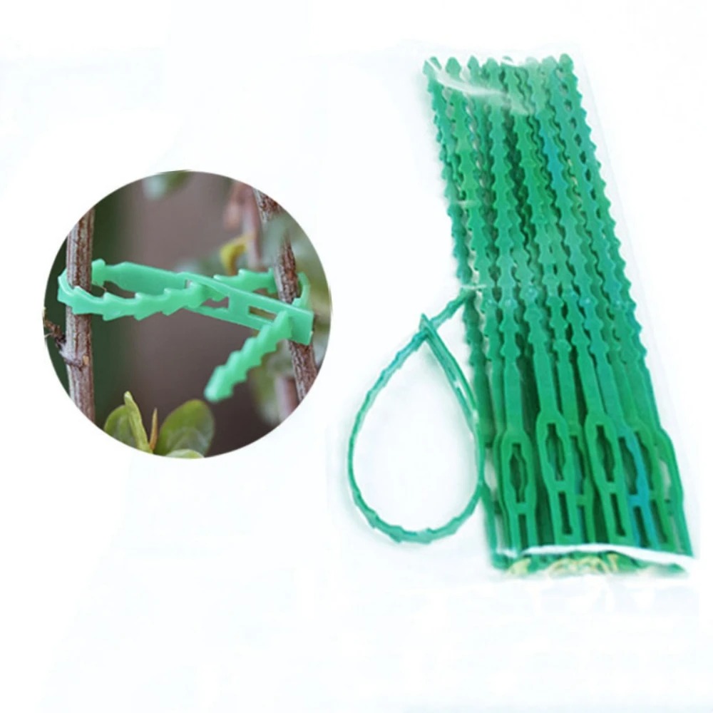 50 Pezzi Fascette Regolabili i - Vine Climbing Plastic recensione e prezzo