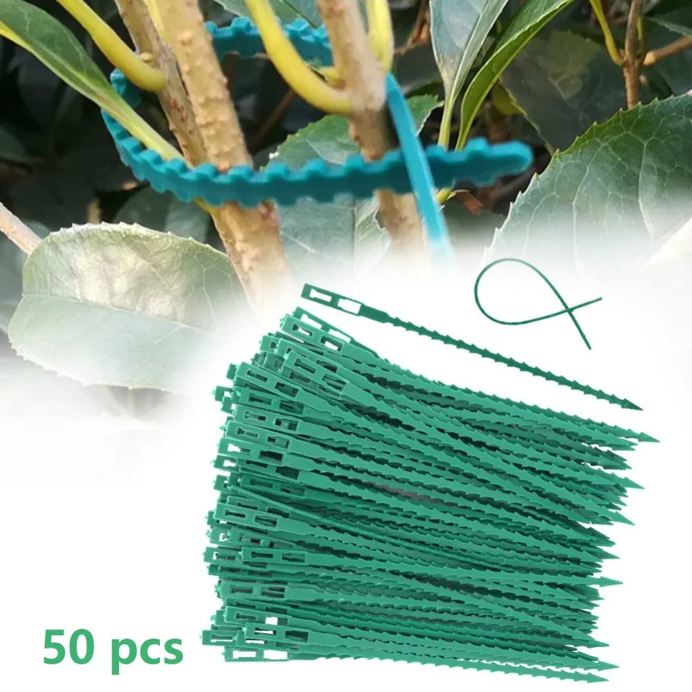 50 Pezzi Fascette Regolabili i - Vine Climbing Plastic recensione e prezzo