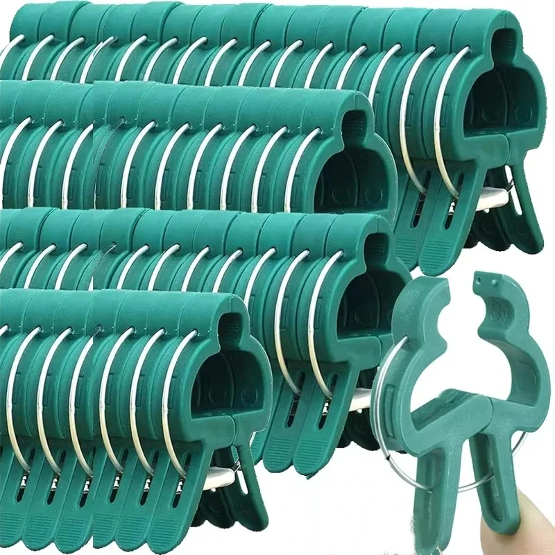 Clip fisse per piante Staffa r - Vine Climbing Plastic recensione e prezzo
