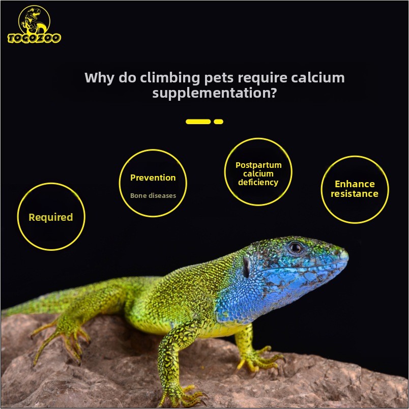TOGOZOO WILDCAL Polvere di cal - Calcium Powder Reptile recensione e prezzo
