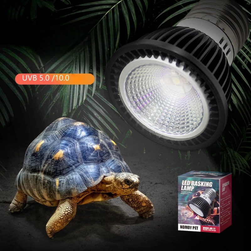 NOMOY Rettile 110/220V UVB + U - Calcium Powder Reptile recensione e prezzo