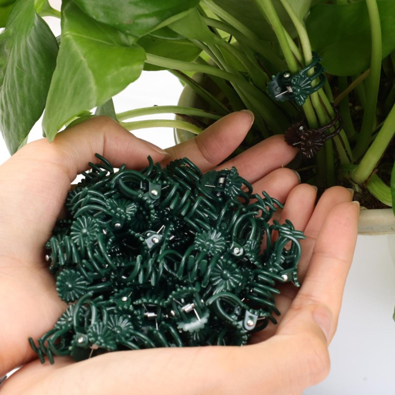 Clip di Supporto Mini per Pian - Vine Climbing Plastic recensione e prezzo
