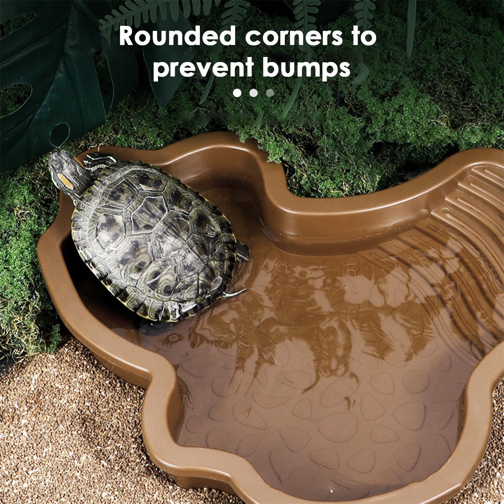 Piscina per rettili con rampa  - Water Dish Reptile recensione e prezzo