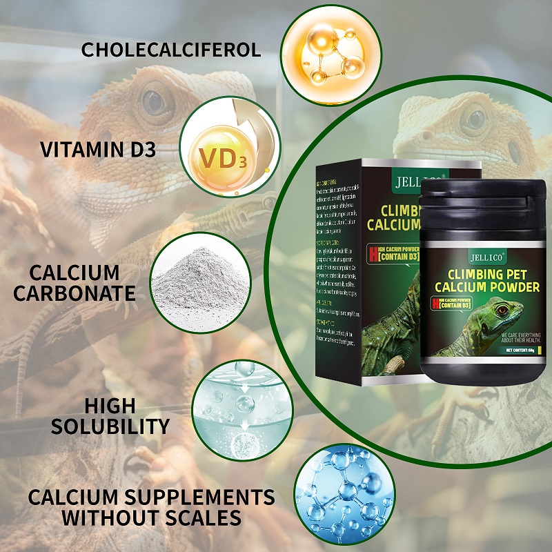 Polvere di calcio di vitamina  - Calcium Powder Reptile recensione e prezzo