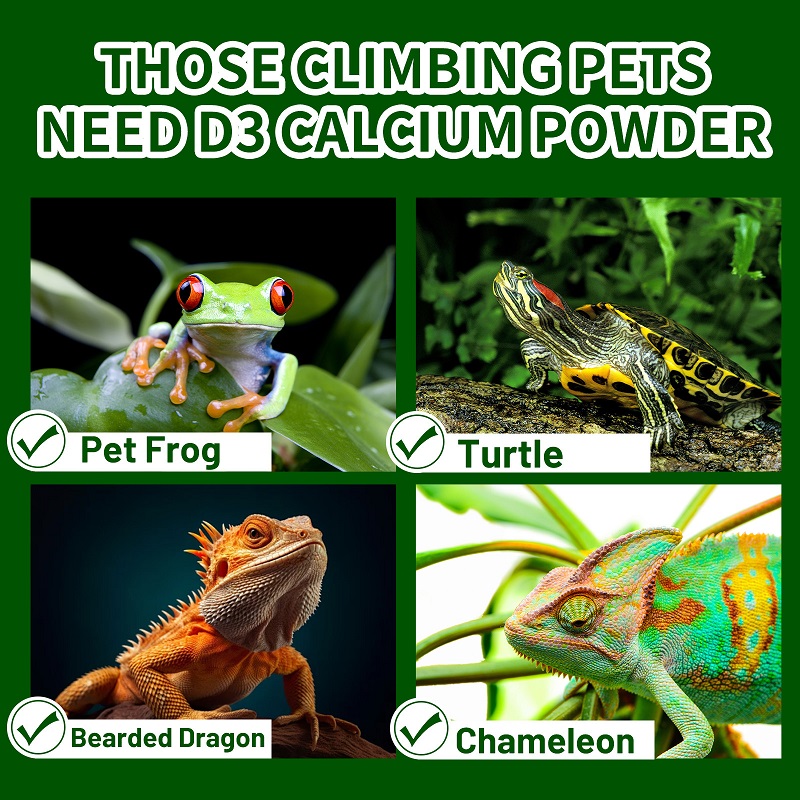 Polvere di calcio di vitamina  - Calcium Powder Reptile recensione e prezzo