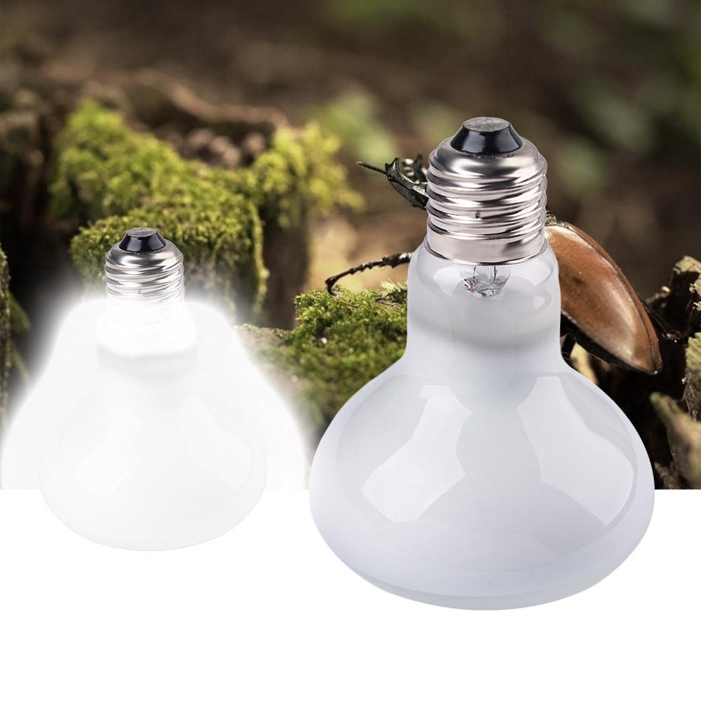 Lampada Riscaldante per Tartar - Basking Bulb Halogen recensione e prezzo