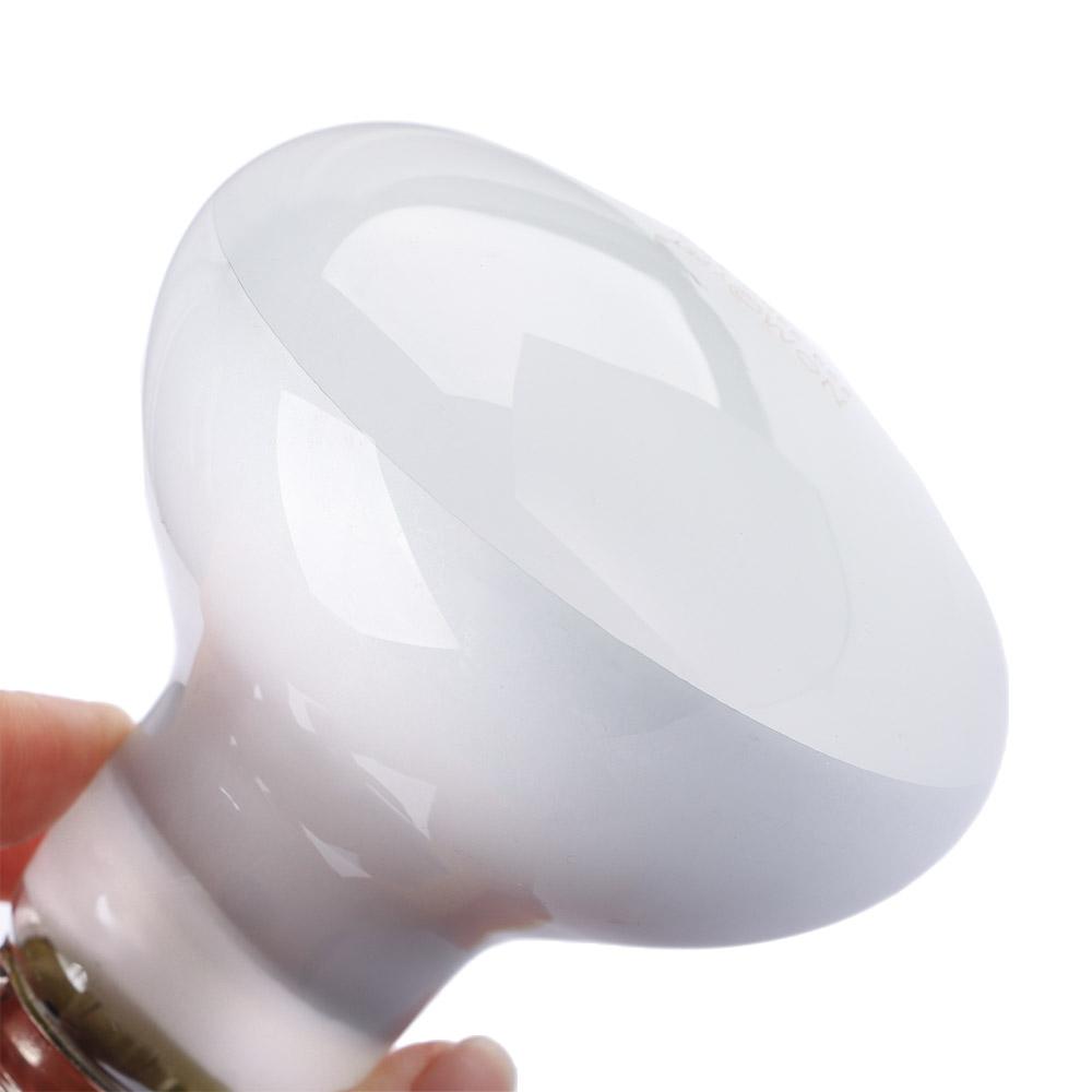 Lampada Riscaldante per Tartar - Basking Bulb Halogen recensione e prezzo