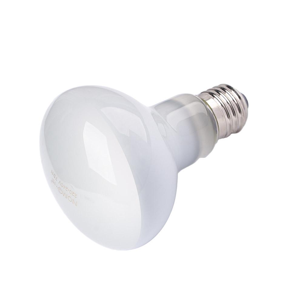 Lampada Riscaldante per Tartar - Basking Bulb Halogen recensione e prezzo