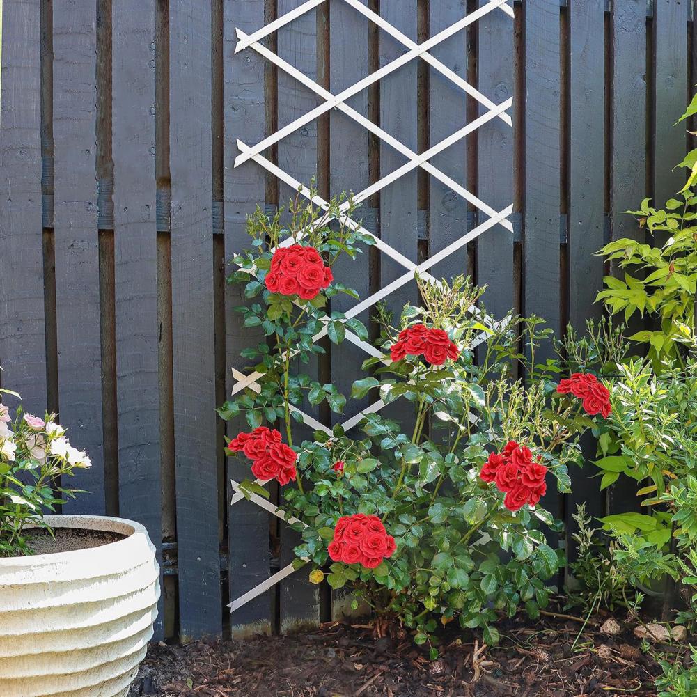 Traliccio da Giardino Espandib - Vine Climbing Plastic recensione e prezzo