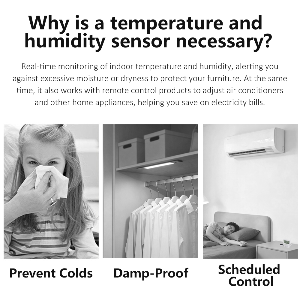 Sensore di Temperatura e Umidi - Digital Hygrometer Probe recensione e prezzo