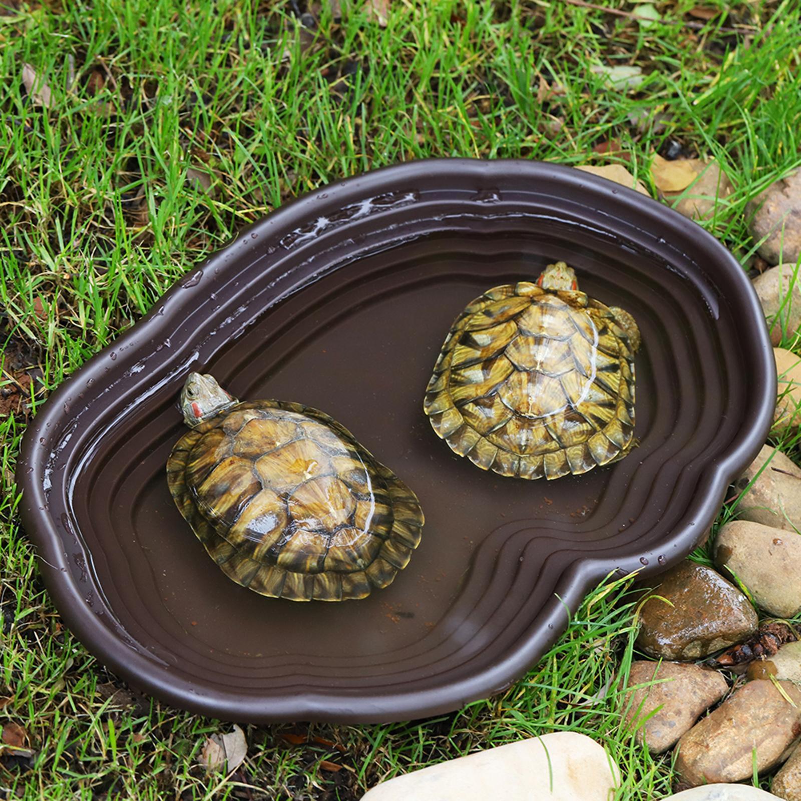 Piatto da bagno per rettili Ma - Water Dish Reptile recensione e prezzo