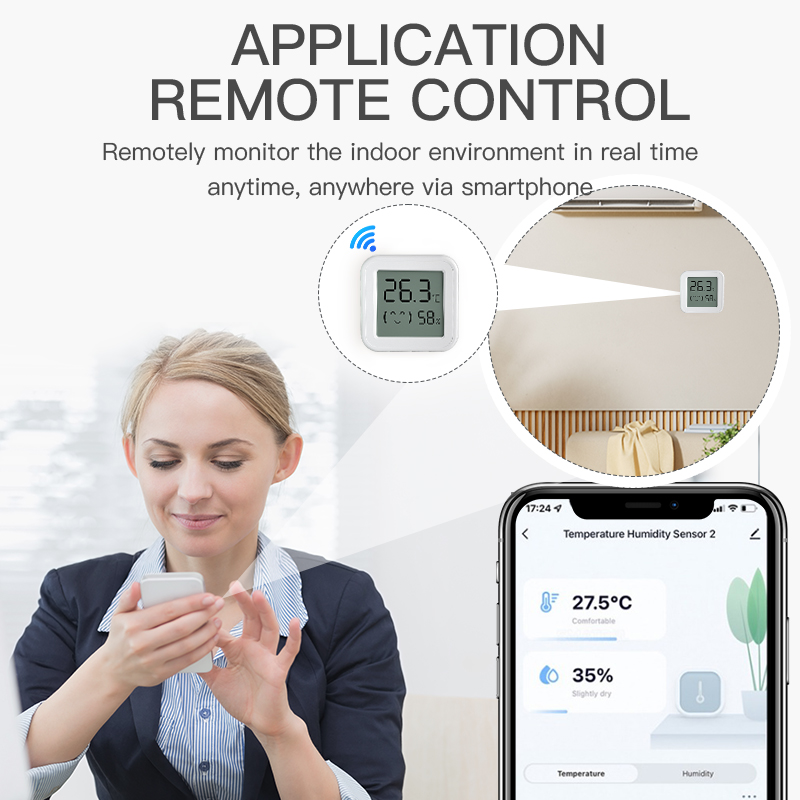 Sensore di umidità della tempe - Digital Hygrometer Probe recensione e prezzo
