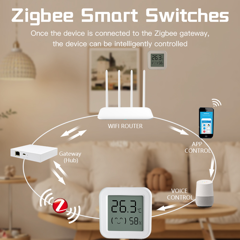Sensore di umidità della tempe - Digital Hygrometer Probe recensione e prezzo