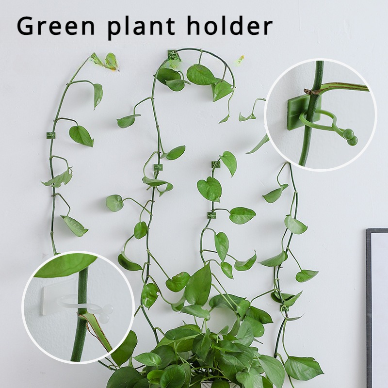 10 Pezzi Ganci Universali per  - Vine Climbing Plastic recensione e prezzo