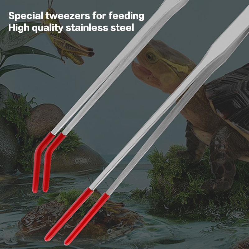 Pinze per Alimentazione Rettil - Feeding Tong Stainless recensione e prezzo
