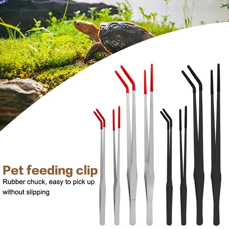 Pinze per Alimentazione Rettil - Feeding Tong Stainless recensione e prezzo