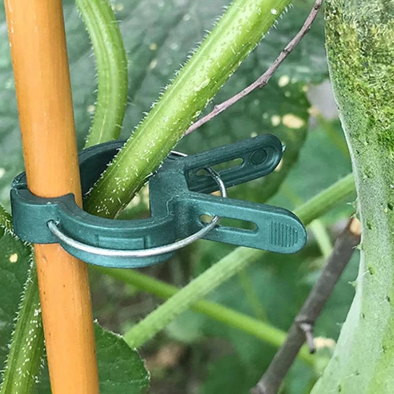 Clip di Fissaggio per Piante R - Vine Climbing Plastic recensione e prezzo