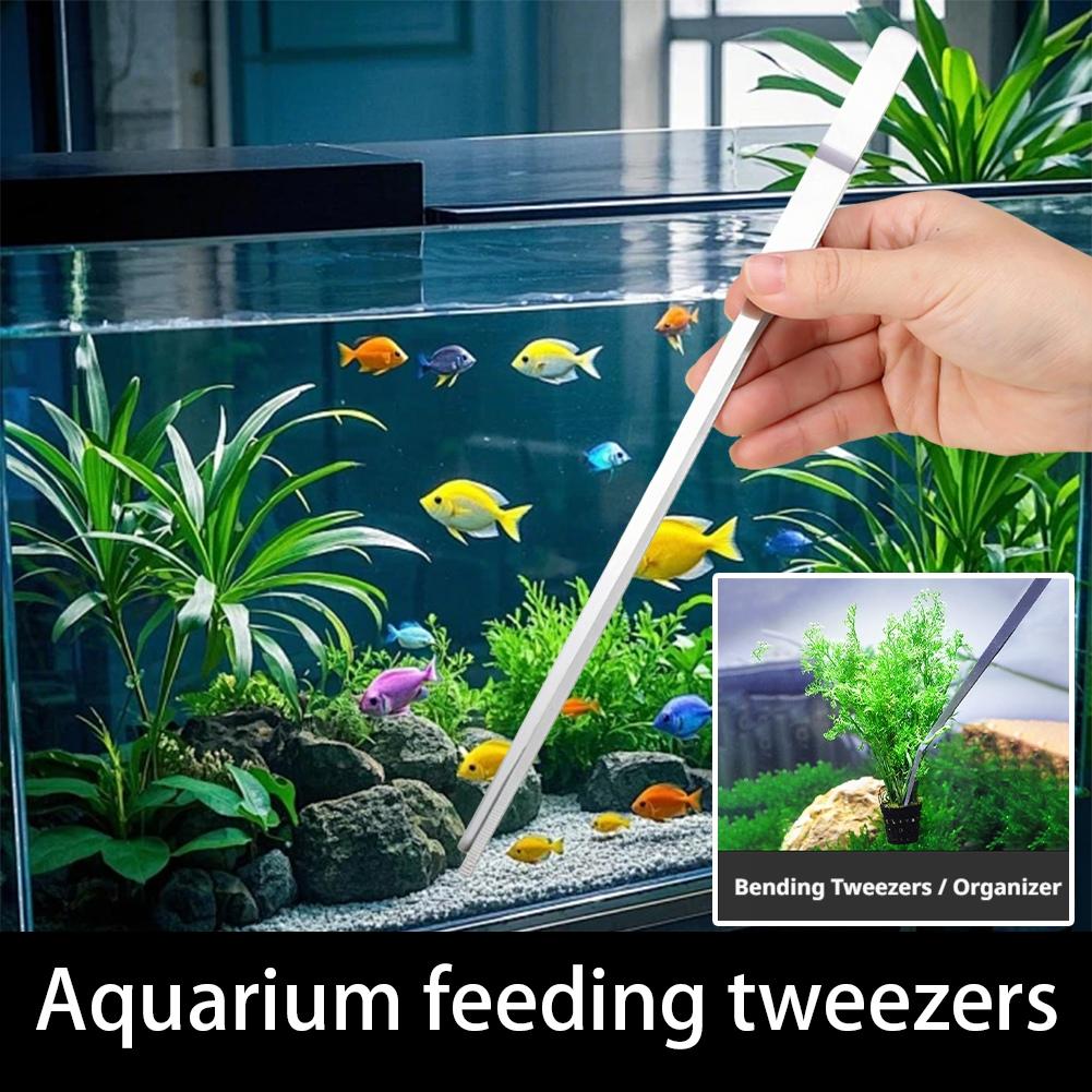 Pinzette in Acciaio Inox per A - Feeding Tong Stainless recensione e prezzo