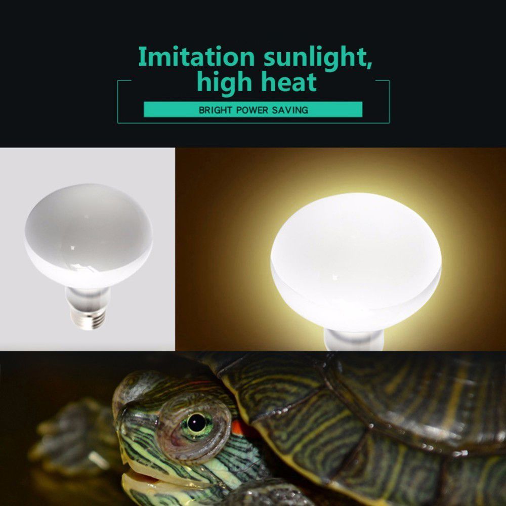 Regolatore di Temperatura per  - Basking Bulb Halogen recensione e prezzo