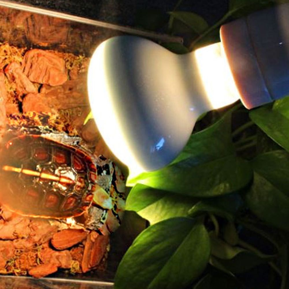 Regolatore di Temperatura per  - Basking Bulb Halogen recensione e prezzo