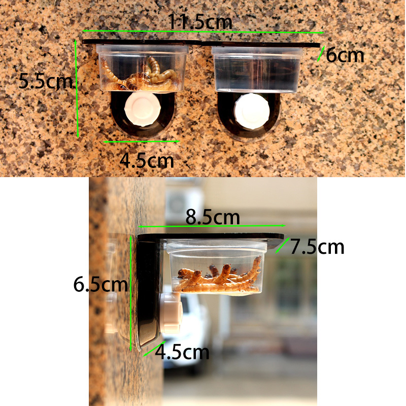 Accessori per serbatoi per ret - Water Dish Reptile recensione e prezzo