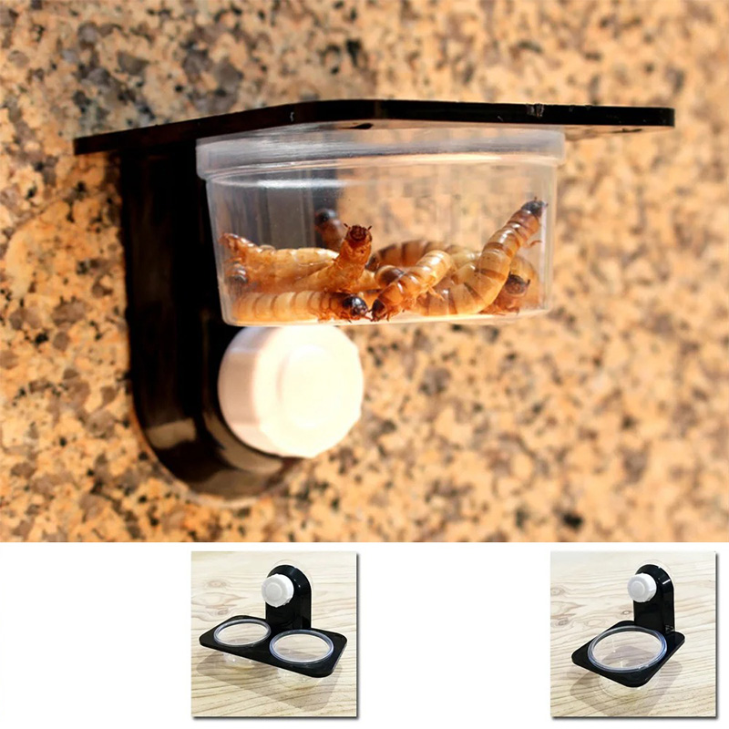 Accessori per serbatoi per ret - Water Dish Reptile recensione e prezzo
