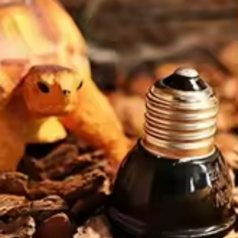 Lampada Riscaldante in Ceramic - Ceramic Heat Emitter recensione e prezzo