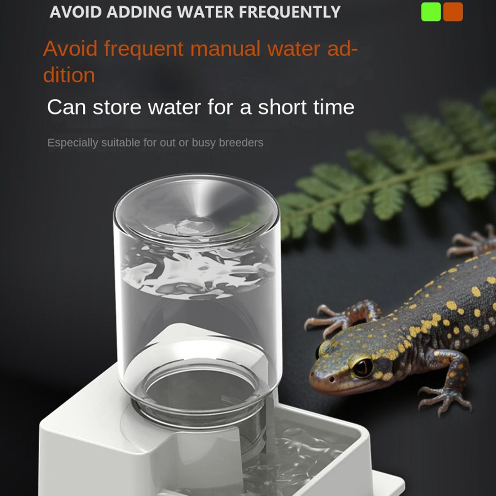 Fontana d'Acqua Automatica per - Water Dish Reptile recensione e prezzo