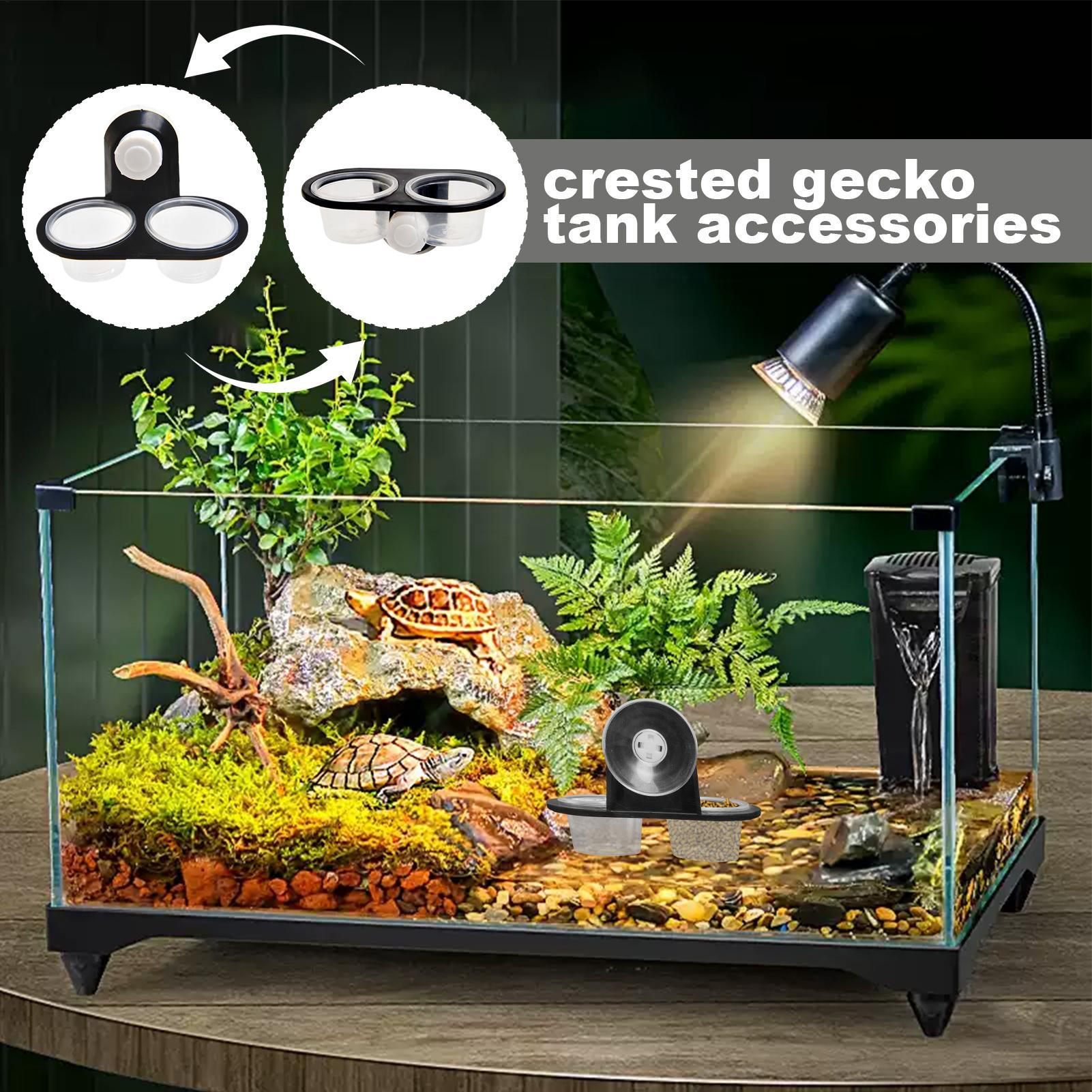 Piattaforma per l'alimentazion - Water Dish Reptile recensione e prezzo