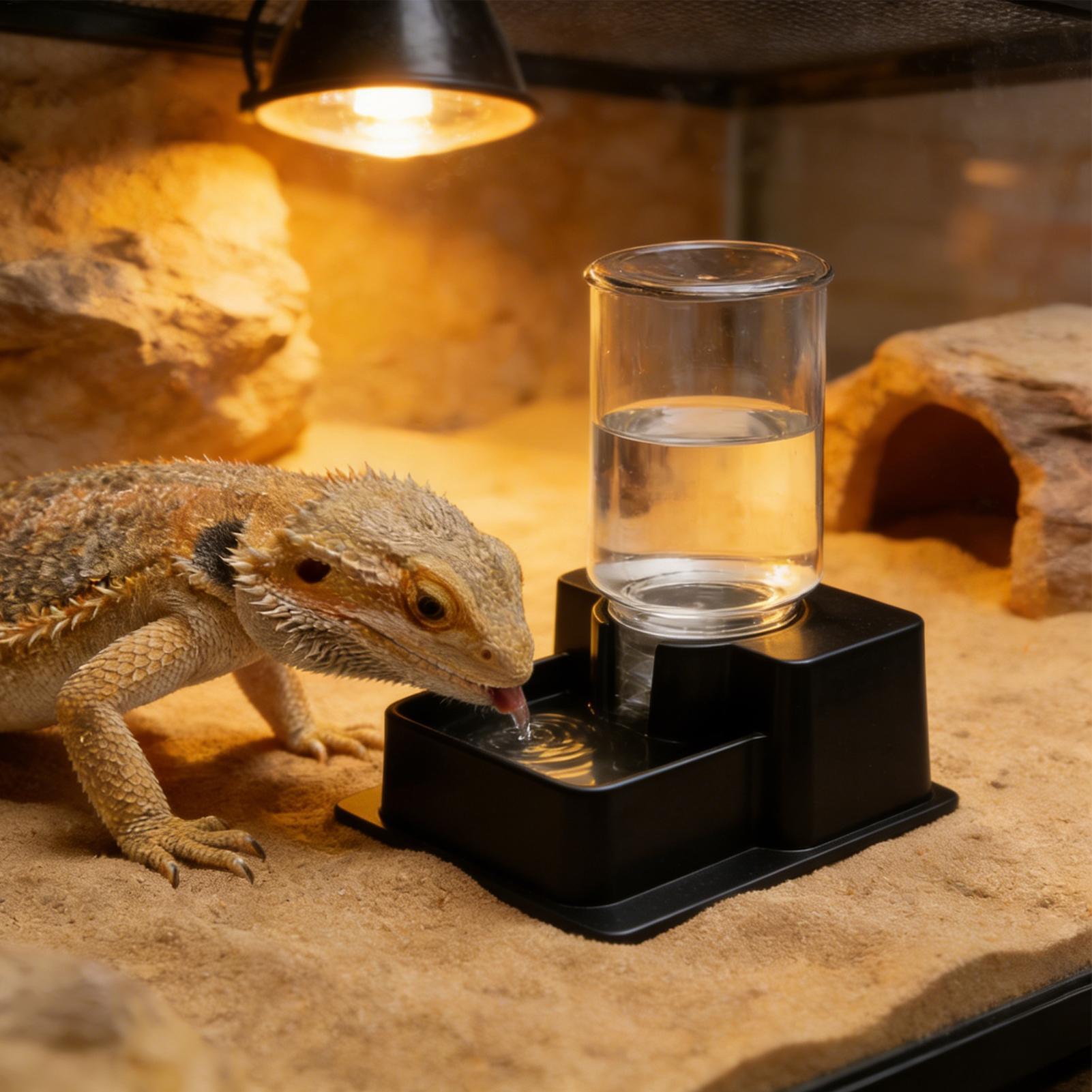 Fontanella per Draghi Barbuti, - Water Dish Reptile recensione e prezzo