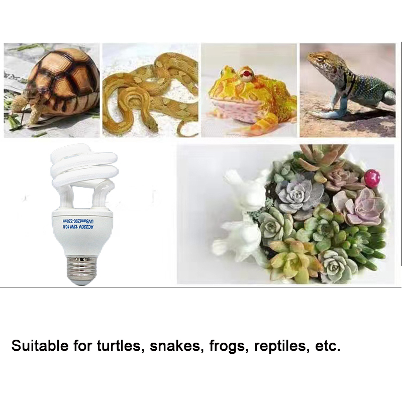 E27 13W/26W Lampada Uvb per re - Calcium Powder Reptile recensione e prezzo