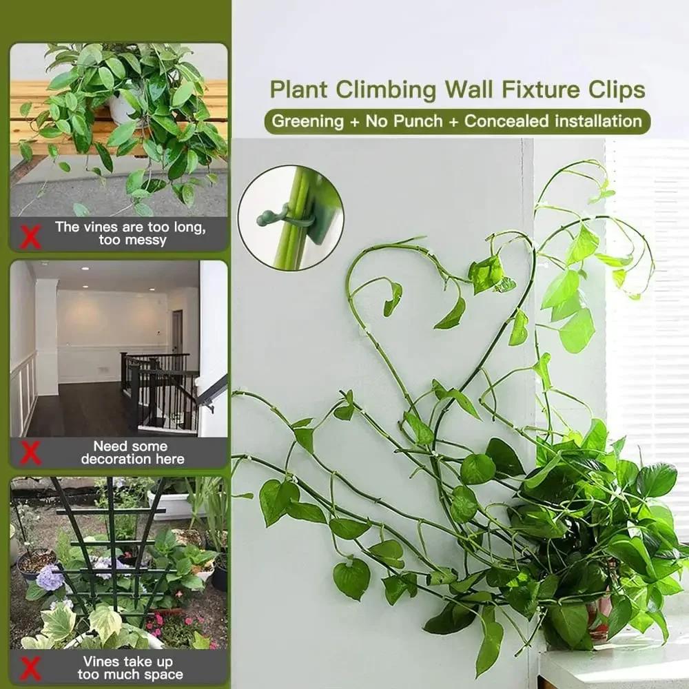 1/30/50 pezzi per accessori da - Vine Climbing Plastic recensione e prezzo