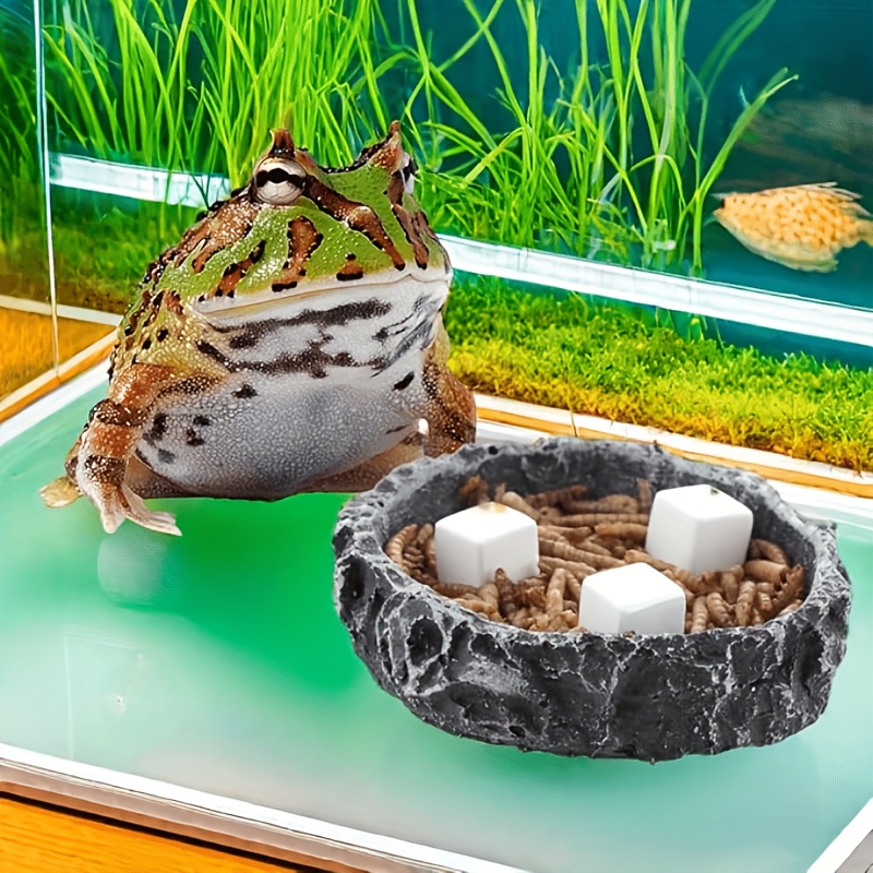 6 Pezzi Blocco di Calcio per A - Calcium Powder Reptile recensione e prezzo