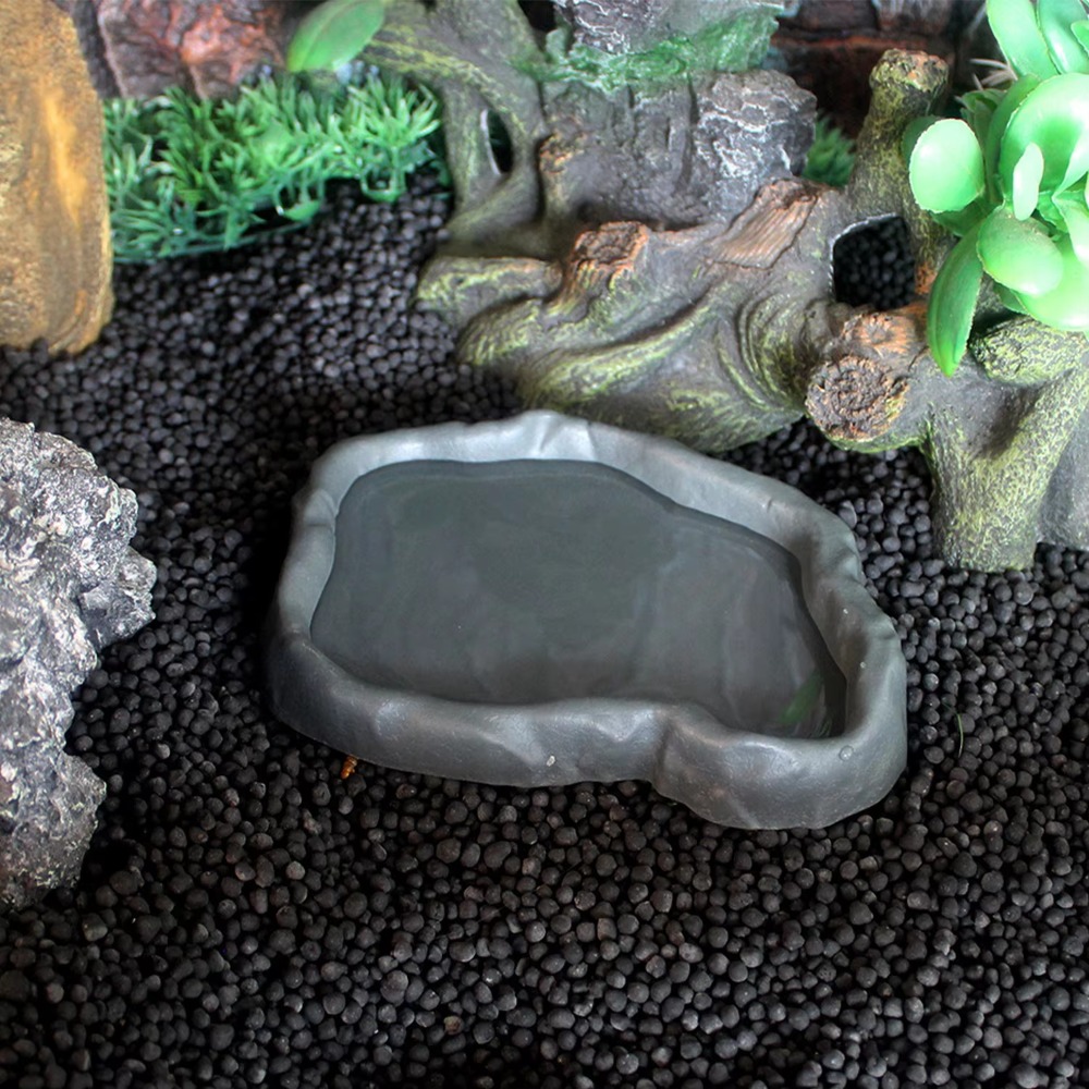 Ciotola per rettili in resina  - Water Dish Reptile recensione e prezzo