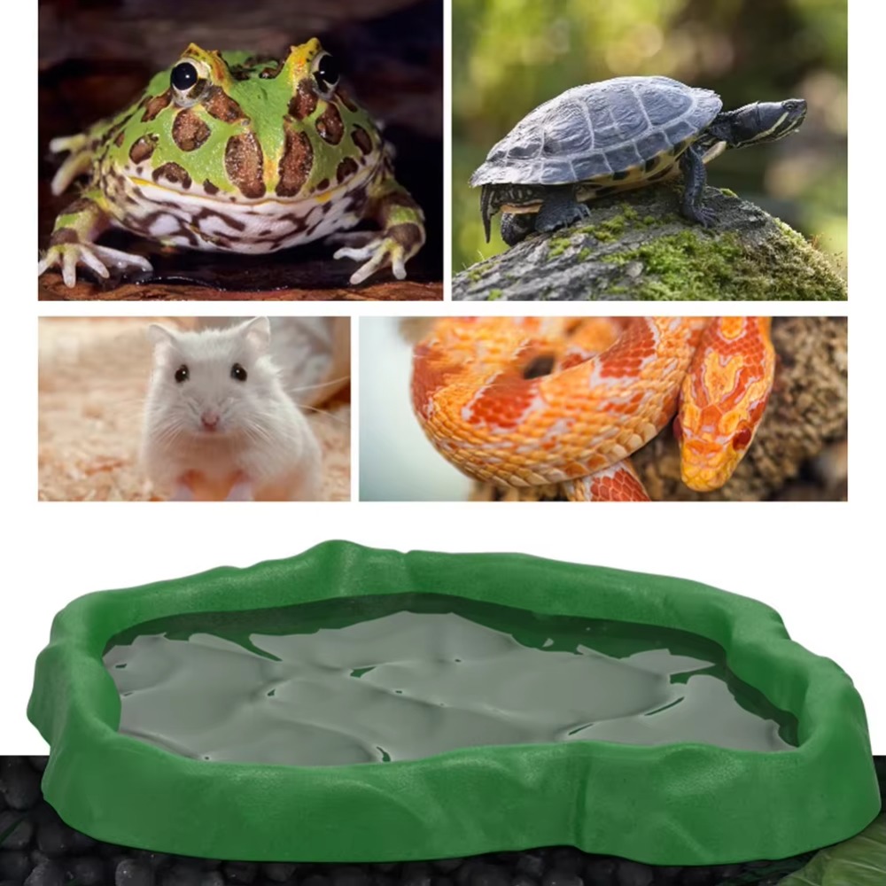 Ciotola per rettili in resina  - Water Dish Reptile recensione e prezzo