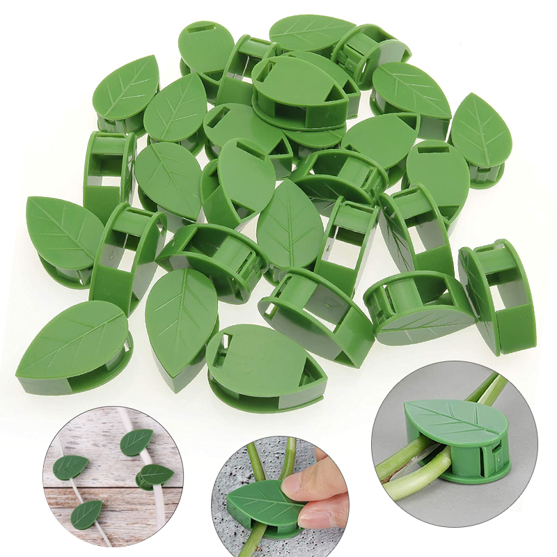 Dispositivo da parete invisibi - Vine Climbing Plastic recensione e prezzo